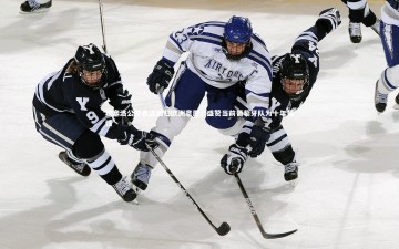 竞技宝入口|坎塞洛公开表达回归欧洲意愿，盛赞当前葡萄牙队为十年最强